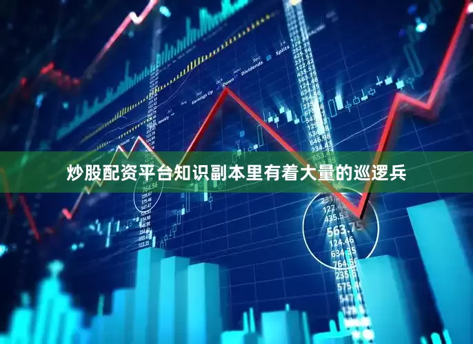 炒股配资平台知识副本里有着大量的巡逻兵