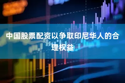 中国股票配资以争取印尼华人的合理权益